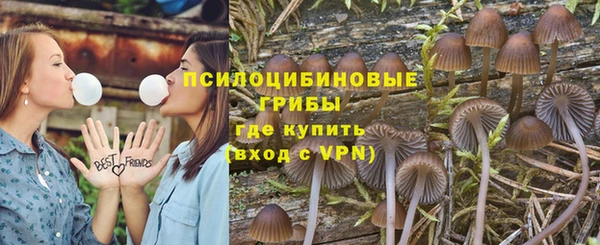 синтетический гашиш Белокуриха