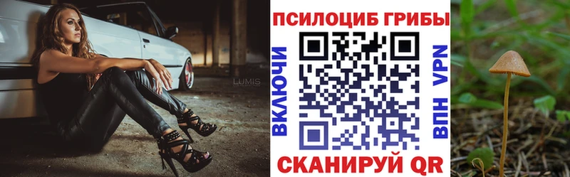 наркошоп Верхний Уфалей Псилоцибиновые грибы мицелий